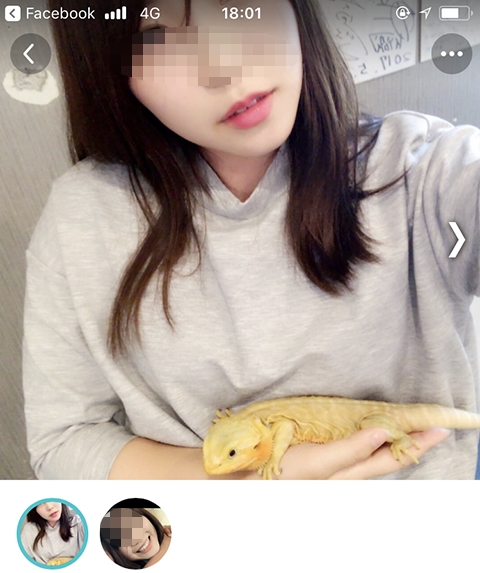 �y�A�[�Y�̖L���̏�